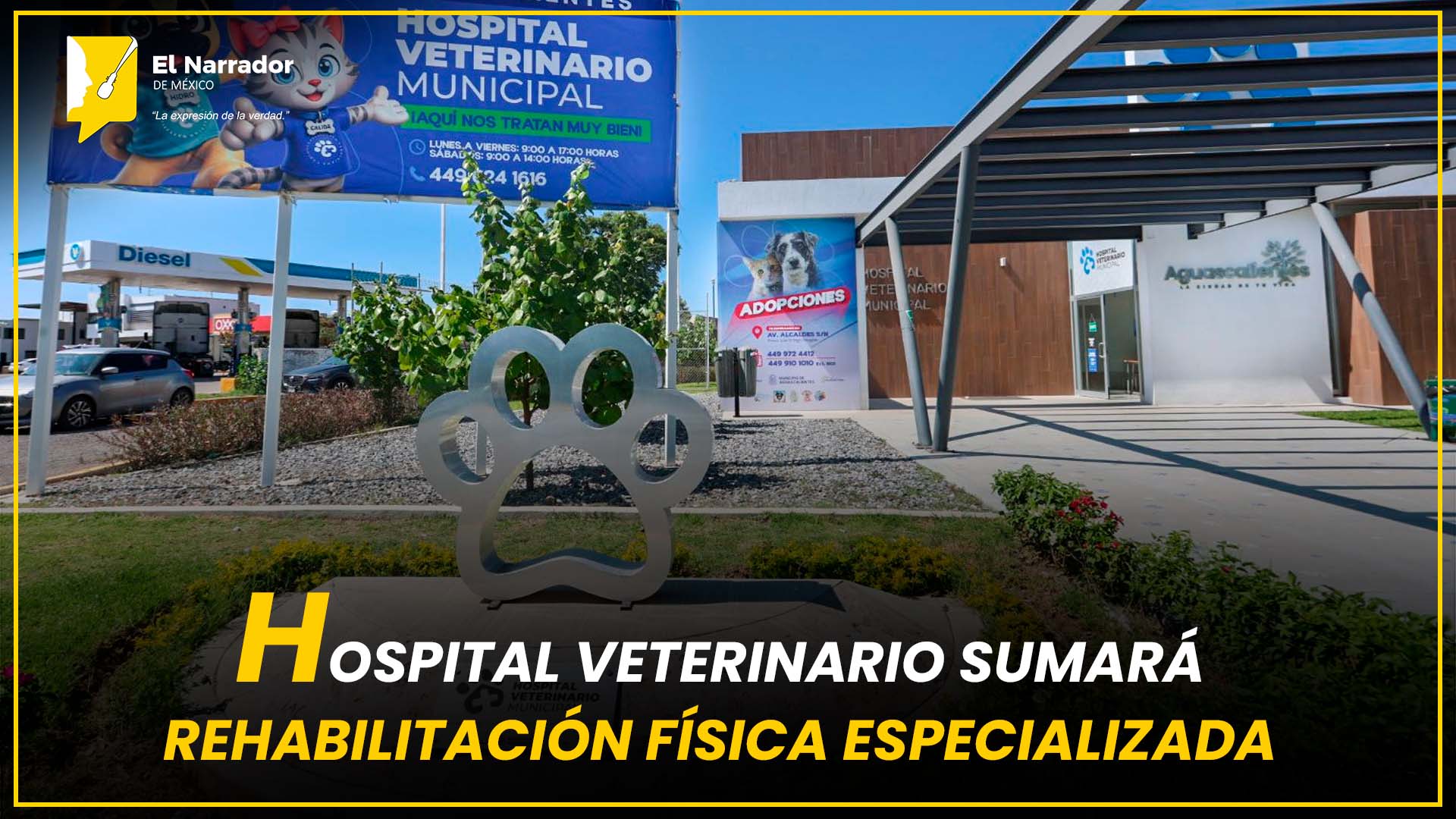 HOSPITAL VETERINARIO SUMARÁ REHABILITACIÓN FÍSICA ESPECIALIZADA